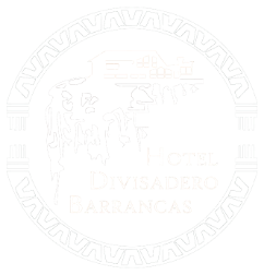 Hotel Divisadero Barrancas